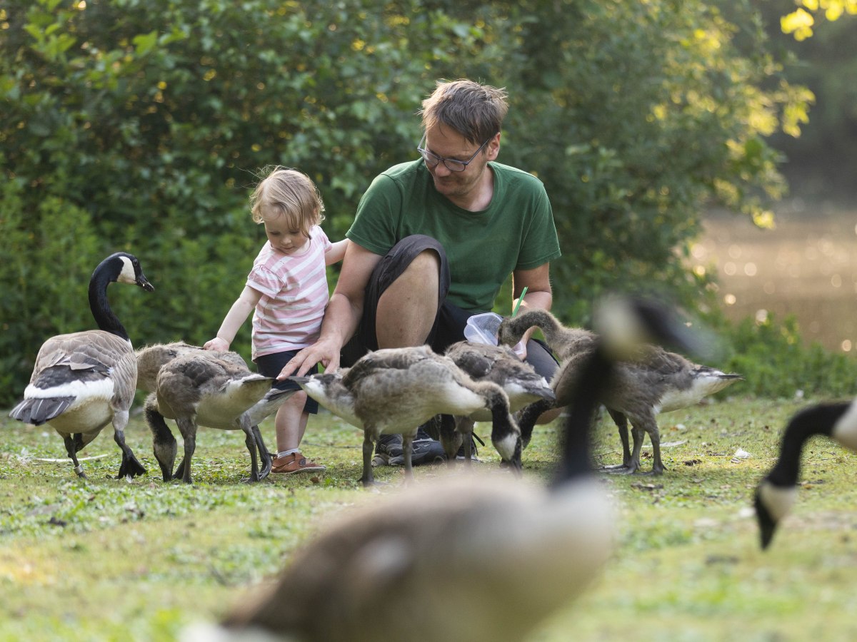Spielplatz am Kiwitsmoorpark